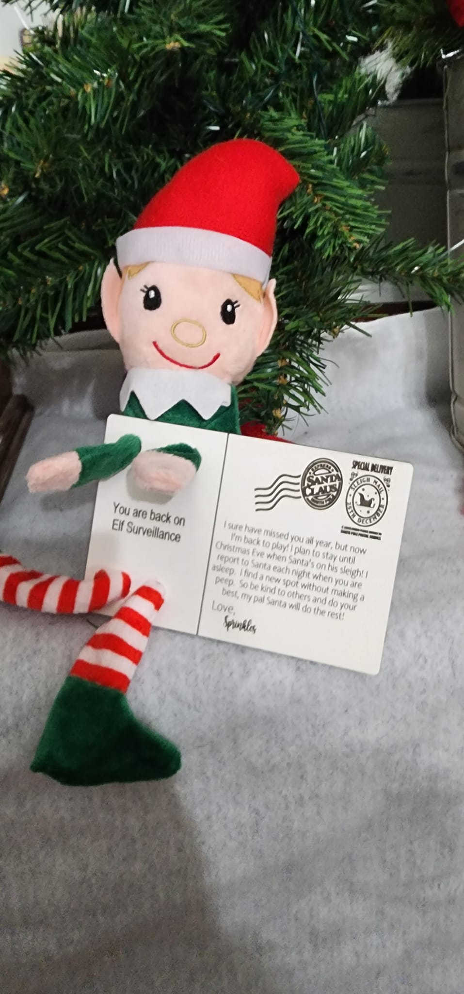 Elf On a Shelf – RedHorseDesignsOhio
